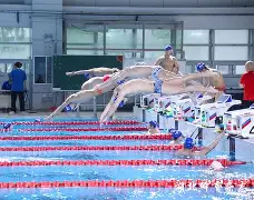 九游体育下载-剑门黑豹队对阵岭南鲸鲨队，游泳常规赛小胜，细节决定成败——赛场纪律更严谨的简单介绍